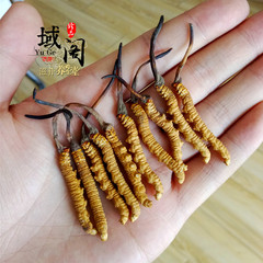 西藏那曲冬虫夏草 高品质虫草 3条1克  正品保证 传统滋补