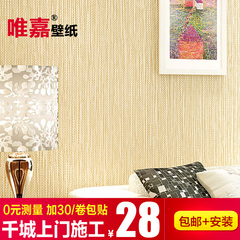 现代草编素色纯色无纺布壁纸  客厅卧室房间电视背景墙竖条纹墙纸