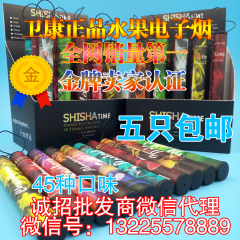 A特价包邮shisha一次性电子烟500口 水果味健康烟 潮人必备水烟