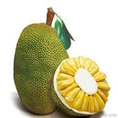 2014新鲜水果 进口泰国菠萝蜜 木菠萝大树干苞 特价折扣 15斤包邮