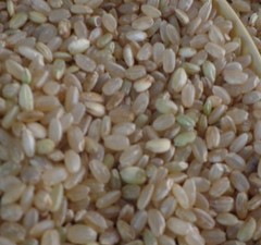 新糙米 沂蒙山区 大米有机糙米 有机胚芽 大米 绿色食品 包邮