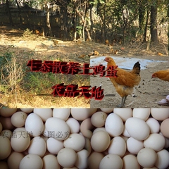 新鲜农家自养土鸡蛋 林场放养山地鸡蛋走地鸡蛋 散养鸡蛋 30包邮