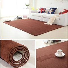 现代简约珊瑚绒加厚地毯地垫客厅卧室床边榻榻米垫飘窗垫床边毯