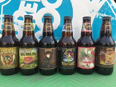 创始者啤酒百年 树莓 马赛克全天 混蛋 波特  founders IPA 6瓶装