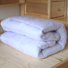 学生宿舍床被子 学校园集体床棉被胎 单人床被芯被心加厚被褥冬用