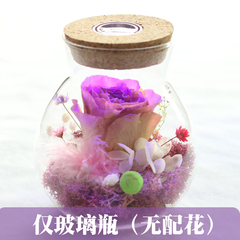 添昌搭配鲜花干燥剂使用 玻璃罐 密封罐 干花密封保存 带彩灯包邮