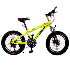 都市贝贝 儿童山地车自行车 20寸山地车儿童双碟刹自行车