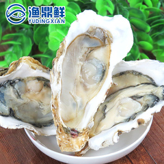 冷冻半壳生蚝特级新鲜生蚝海牡蛎烧烤食材100克/个 10个/袋