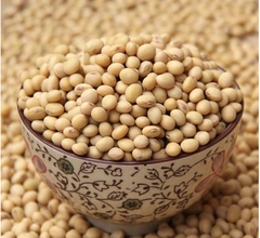 农家自种非转基因黄豆纯天然16新豆 可发豆芽豆浆专用半斤装250g