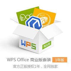 WPS Office 中小企业版 1年授权 官方正版软件