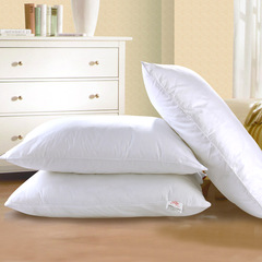 爱斯基摩人五星级酒店品质纯棉枕芯枕头一对拍2护颈枕颈椎保健枕