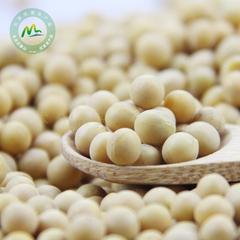 农家 大豆新黄豆 自种小黄豆 豆浆专用  非转基因黄豆 菽  250g
