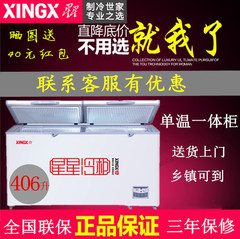 XINGX/星星 BD/BC-406E冷冻柜卧式商用家用冷藏冷冻大冰柜冷柜