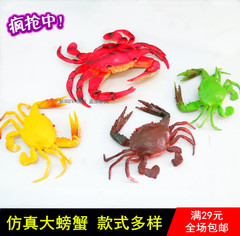 特大仿真海洋动物模型螃蟹 塑胶仿真动物玩具道具认知模型免邮