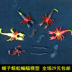 仿真软体动物模型蝎子蜈蚣蝙蝠模型玩具儿童玩具整人吓人玩具包邮
