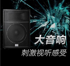 Shinco/新科 KTV-915专业落地15寸KTV广场演出舞台音响可配支架
