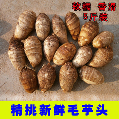 【天天特价】山东农家毛芋头芋艿香芋5斤装 年前最后一次甩卖