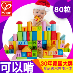 德国Hape80粒积木宝宝益智玩具 1-2-3-6周岁男女孩婴儿童早教进口
