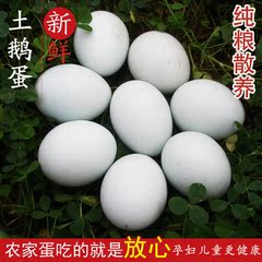 新鲜鹅蛋去胎毒更好 生的农家散养土鹅蛋 12枚大鹅蛋包邮 特价