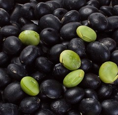 新货 农家自产 绿芯 大黑豆 杂粮 青仁 黑豆子250g 非转基因 黑豆