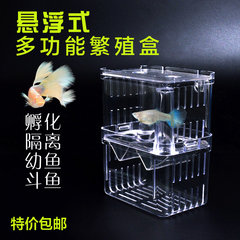 幼鱼孵化盒隔离盒鱼缸水族箱鱼苗双层繁殖盒孔雀鱼斗鱼小鱼产房盒