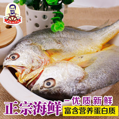 特价 新鲜海鱼 天然野生黄花鱼 肉嫩刺少 宝宝补充营养最佳