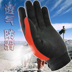 新款冬男式保暖手套女时尚防滑防寒五指手套骑行登山手套春秋手套