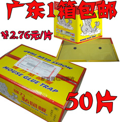 鼠板哥出品 批发 超强力达豪粘鼠板老鼠贴 一箱50片 限广东包邮