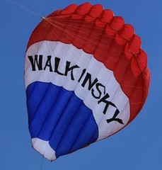 天然风筝店 天际漫步者软体新款3米热气球风筝 带风筒尾巴 包邮
