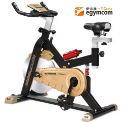 伊吉康家用脚踏健身自行车室内运动健身器材减肥锻炼动感健身车
