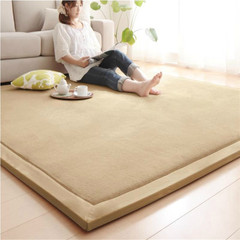 日韩式加厚珊瑚绒地毯 榻榻米垫爬行毯客厅卧室地垫