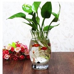 脖子花瓶 简约 透明玻璃花瓶 水培绿萝富贵竹水养植物玻璃花盆