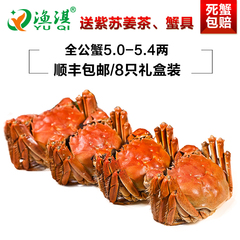 渔淇大纵湖红膏大闸蟹现货鲜活螃蟹礼盒全公蟹5.0-5.4两8只装