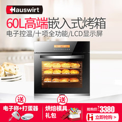 Hauswirt/海氏 HO-M50 嵌入式烤箱家用商用烘焙多功能内嵌大容量