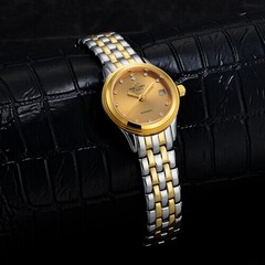 品牌女表机械手表潮流女表小表盘钢带防水表时尚精美女士机械腕表
