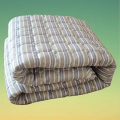 竹炭纤维床垫子褥子加厚 炭之语双人保健护垫薄榻榻米可折叠特价