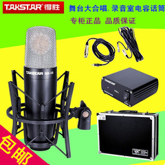 Takstar/得胜 SM-5B-L 麦克风录音棚音乐制作舞台大合唱电容话筒