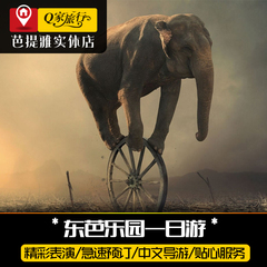 Q家旅行 泰国芭提雅pattaya 东芭乐园 芭堤雅景点门票表演 骑大象