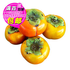 4个桂林脆柿子 新鲜柿子  新鲜水果 武汉满百包邮