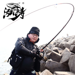 泓涛渔具扶风海竿远投 2.4 3.0 3.6米鱼竿碳素钓鱼竿抛竿海杆套装