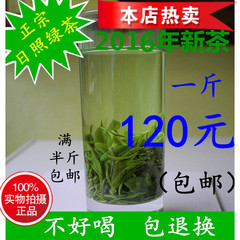 日照绿茶2016年新茶春茶炒青雨前茶自产自销茶叶 120元/斤 包邮