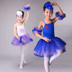 六一儿童芭蕾舞裙女童舞蹈裙表演少儿拉丁练功舞蹈服恰恰爵士考级