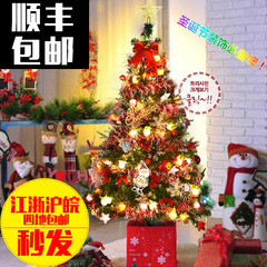 福麒麟 1.5米圣诞树套餐 150cm加密发光圣诞树圣诞节装饰品摆件
