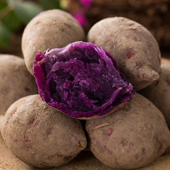 珍珠小紫薯 新鲜越南进口迷你小紫薯 粉糯甜地瓜5斤 包邮
