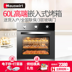 Hauswirt/海氏 HO-M10嵌入式电烤箱家用商用多功能烘焙 内嵌镶嵌