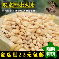 农家自种带壳大麦谷物大麦发芽大麦麦子麦粒可做大麦茶 包邮500g