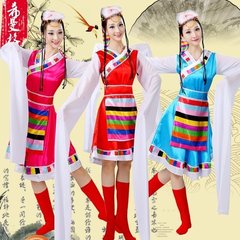 新款女装藏族舞蹈服装演出服装民族舞蹈表演服水袖西藏雪莲花藏族