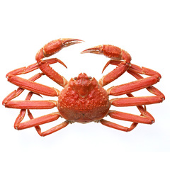 美国阿拉斯加新鲜大雪蟹熟冻500g  蟹肉鲜甜 海鲜蟹类 螃蟹水产品