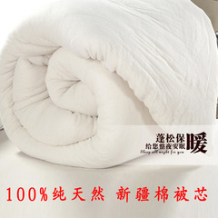 手工新疆棉被被芯褥子180*220x240保暖3斤春秋8斤冬季被棉花被子