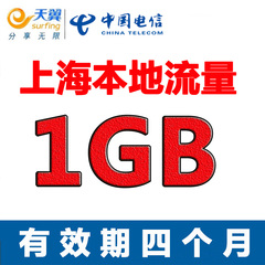 上海电信流量充值1GB 四个月有效本地流量 手机流量包 sh sn